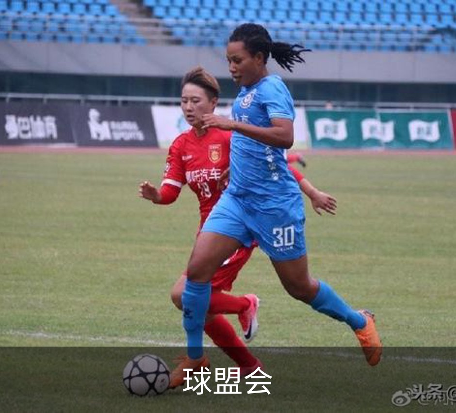 球盟会概况
